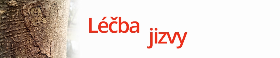 léčba jizvy